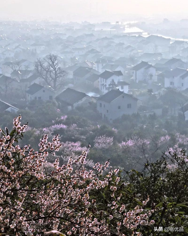 32张美景图片,苏州东山西山风景区哪个更值得去
