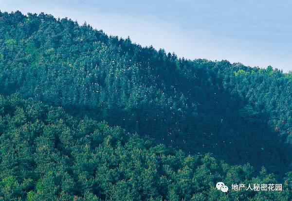 中国最美历史文化小镇,良渚文化村简介