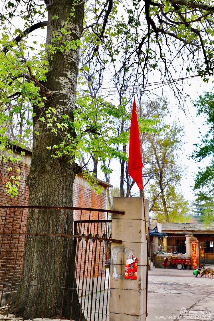 曾经的新安小香港,今日物是人非,探访洛阳水泥厂工人村