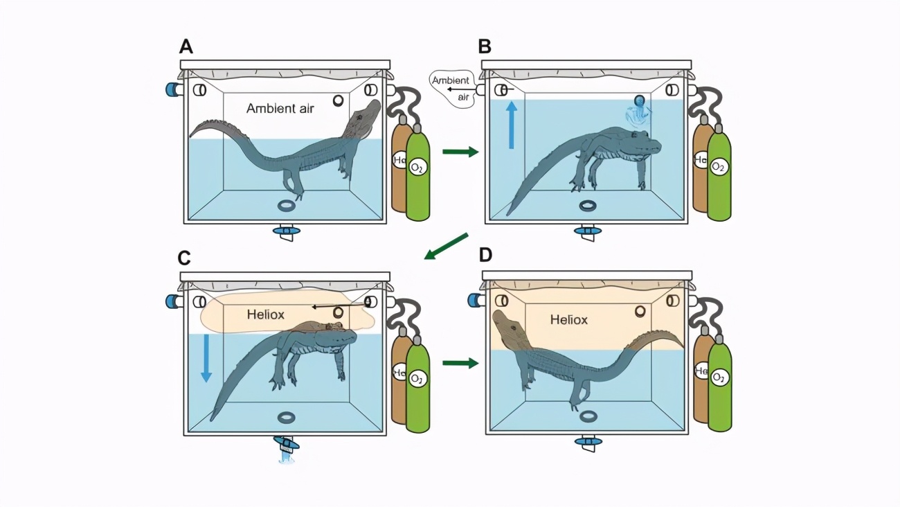 盘点2023年搞笑诺贝尔奖,搞笑诺贝尔奖有参考价值吗