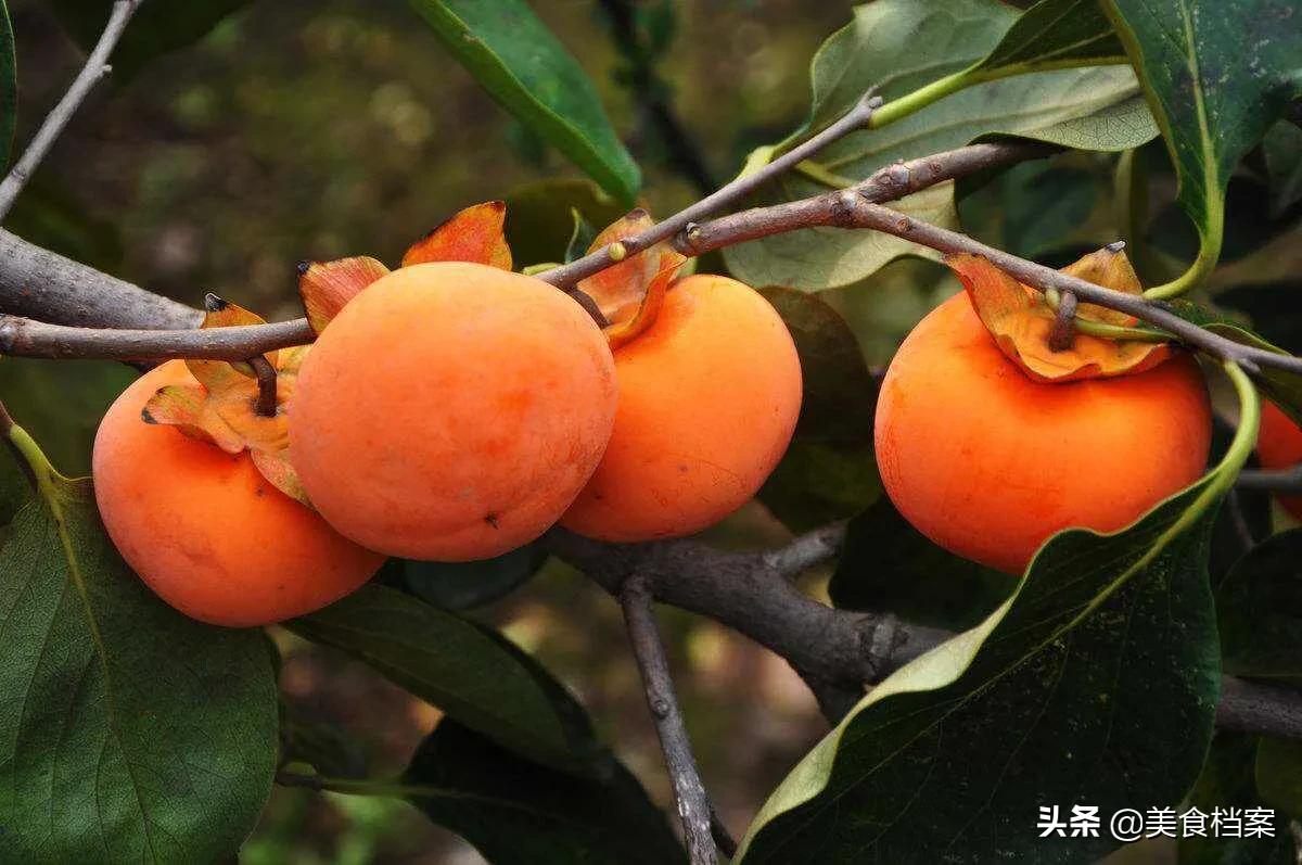 二氧化碳给柿子脱涩柿子会变黑吗,柿子去涩的几种方法