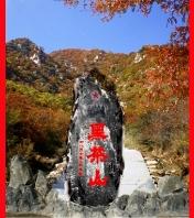 秦邦宪、王若飞和叶挺等13人黑茶山罹难