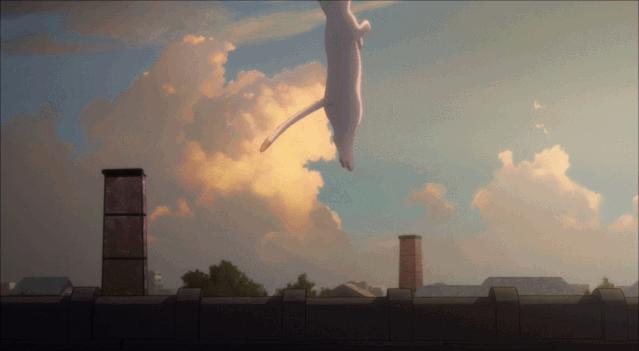 这部温情的撸猫片，让我哭得溃不成军，这是全世界猫*党**的胜利