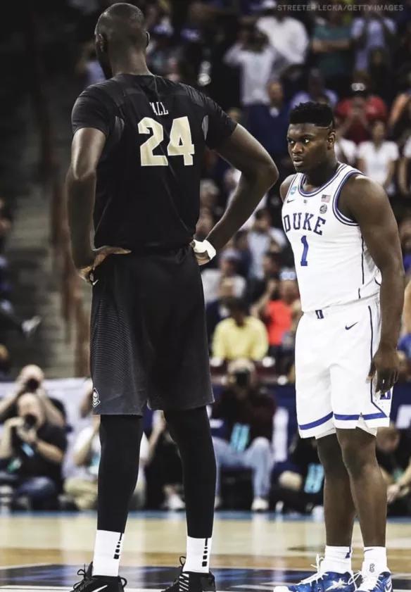 塔科法尔臂展吊打全联盟,塔科法尔臂展多少