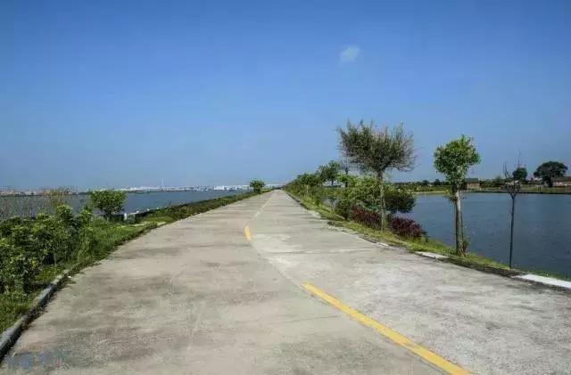 广州的这8个小岛，人少又免费，适合大小情侣的去处