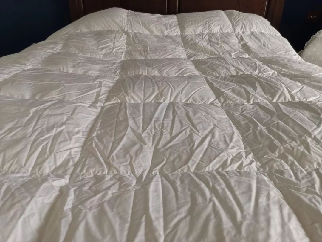 各种被芯,被芯哪种材质比较好