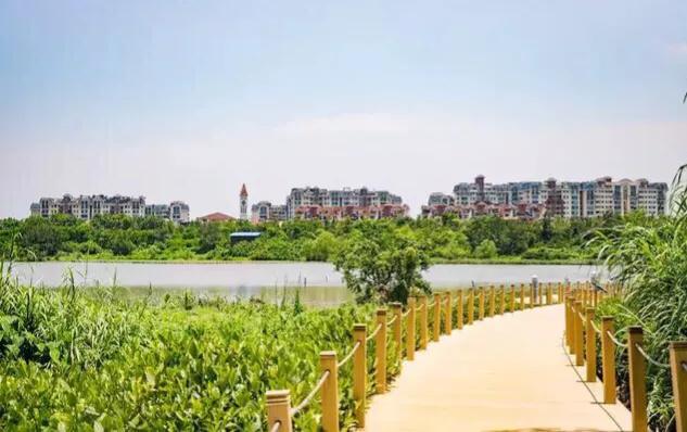 深圳免费公园哪里最好啊,深圳十大免费公园景点大全