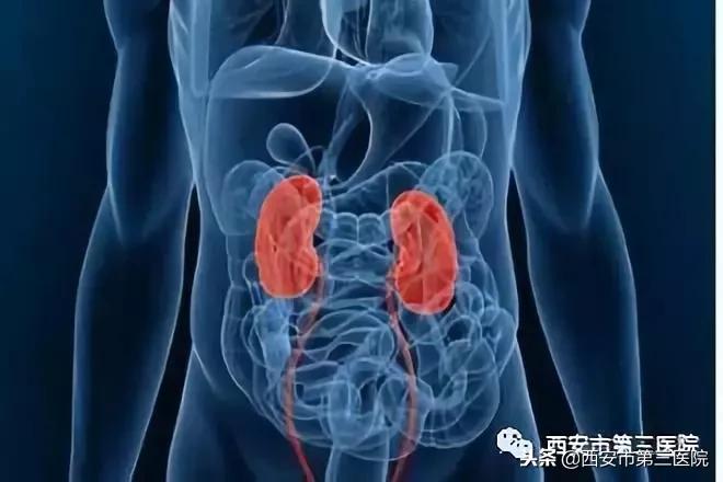 钾高肾病患者吃什么盐,出现高钾血症肾一定有问题么