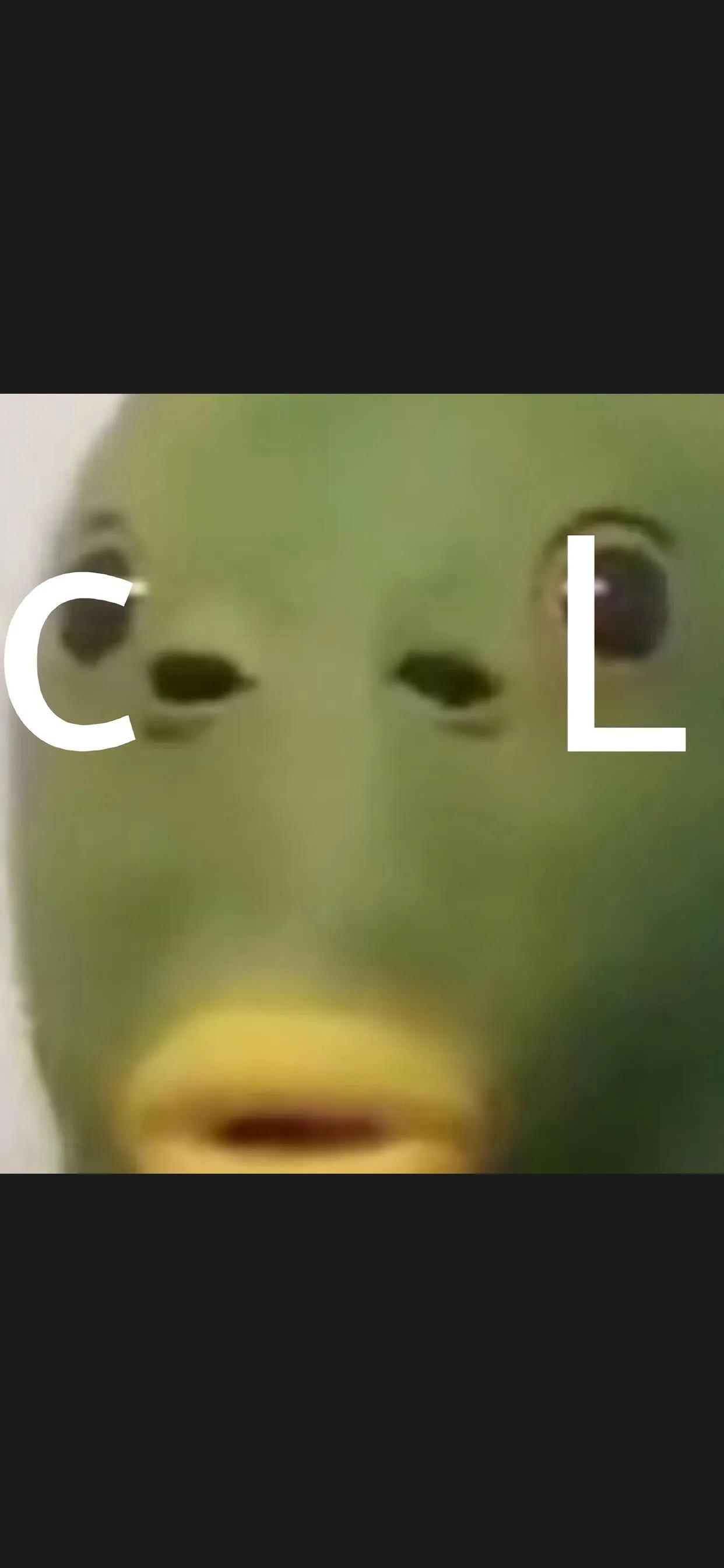 深海鱼壁纸手机壁纸,大头鱼手机壁纸高清大图