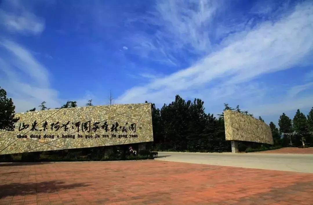 大美在东阿的视频,东阿大美