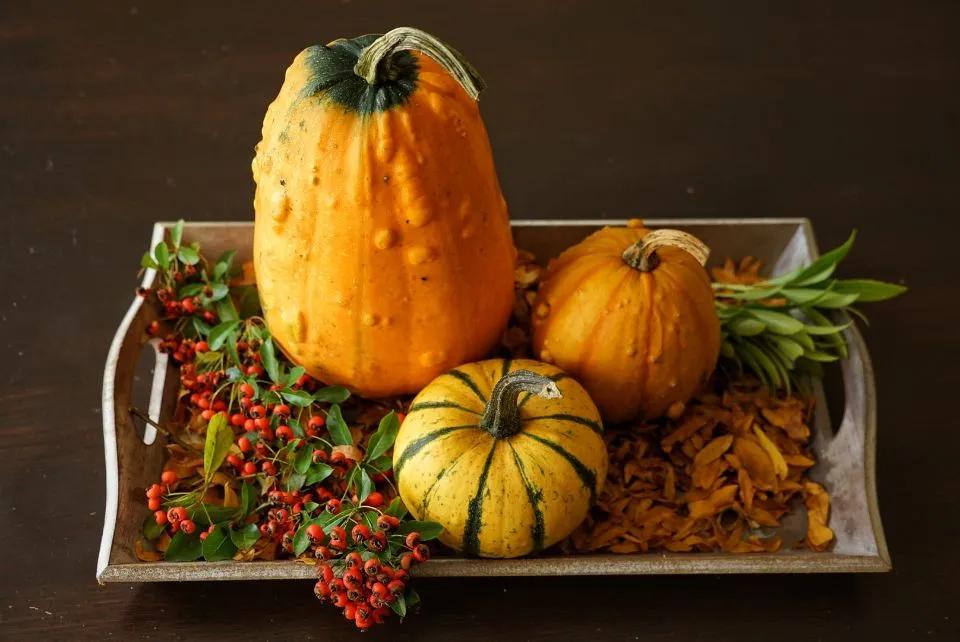 荷兰人身体素质,荷兰人素质怎么样