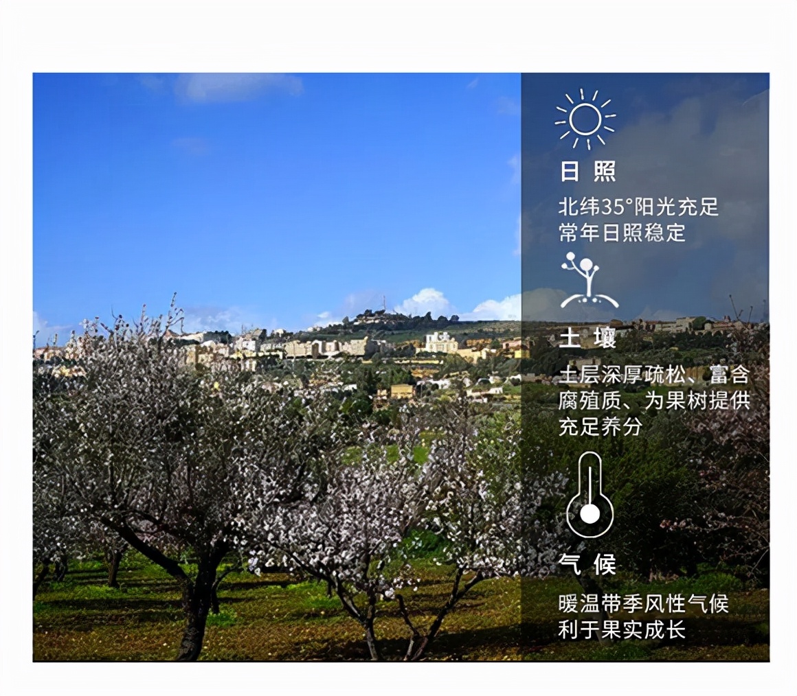 甘肃巴旦木适合种植吗,巴旦木是野生还是人工培育