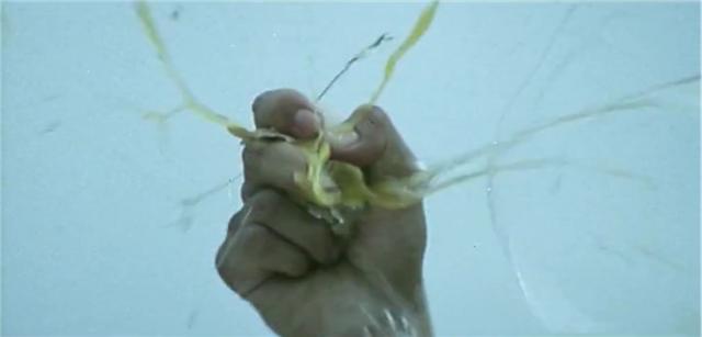 1977年鹰爪铁布衫全集,1977鹰爪铁布衫电影完整免费