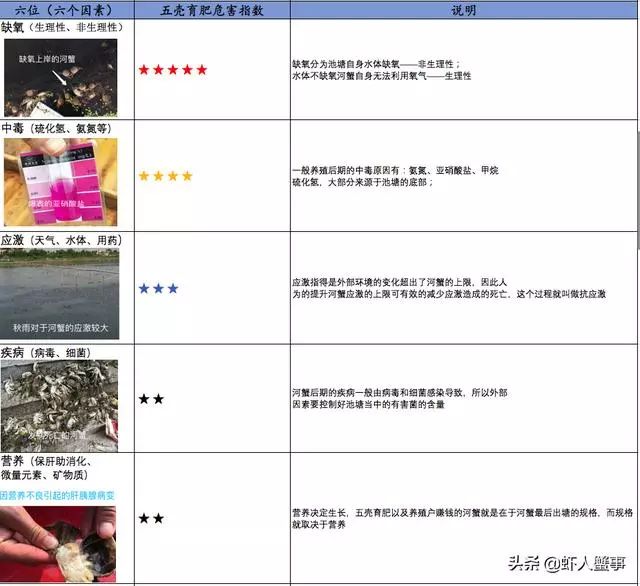 青蟹脱壳就死什么原因,河蟹无壳伤亡原因与处理