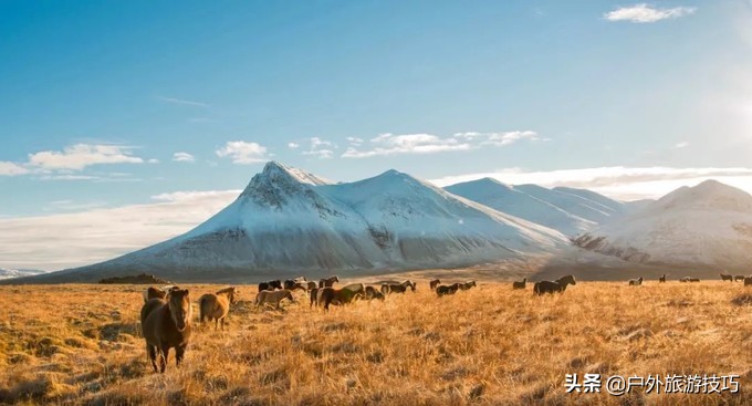 冰与火之歌要多少钻石,冰岛冰与火之歌