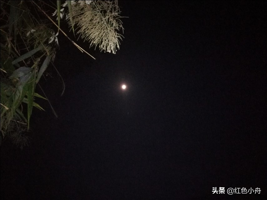 为什么四月份晚上不好钓鱼,4月份夜钓的最佳时间和方法