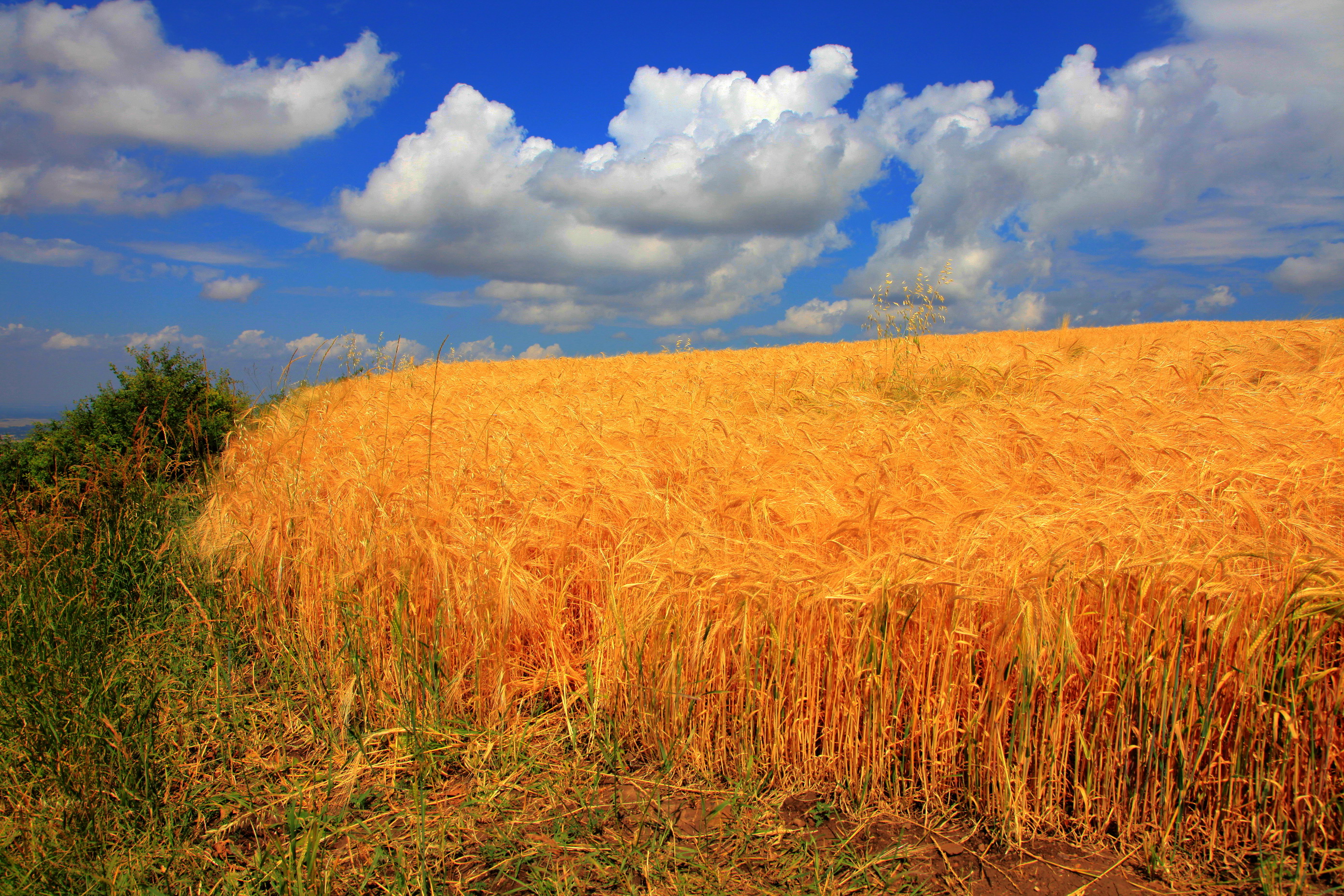 澶╁北楹︽捣,鏄熺┖涓嬬殑缁濈編绋荤敯姊甸珮