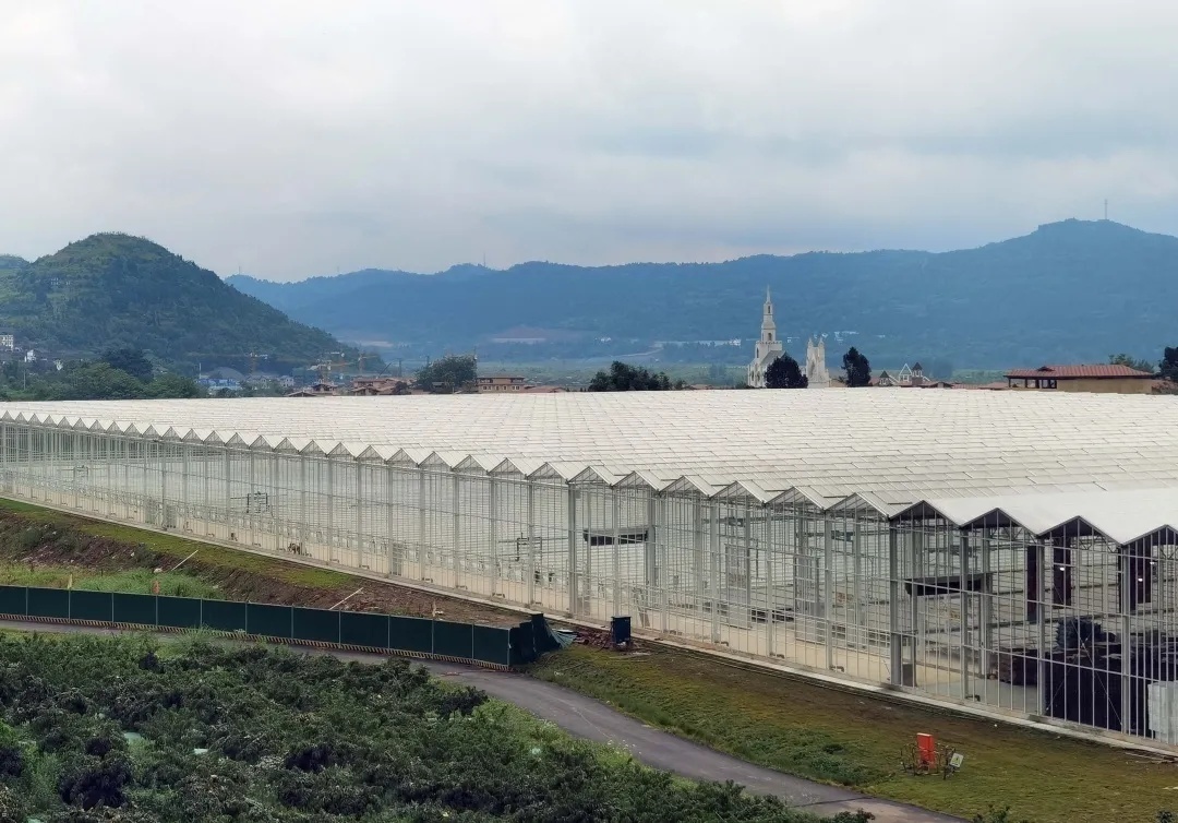 社长总编主编,社长总编