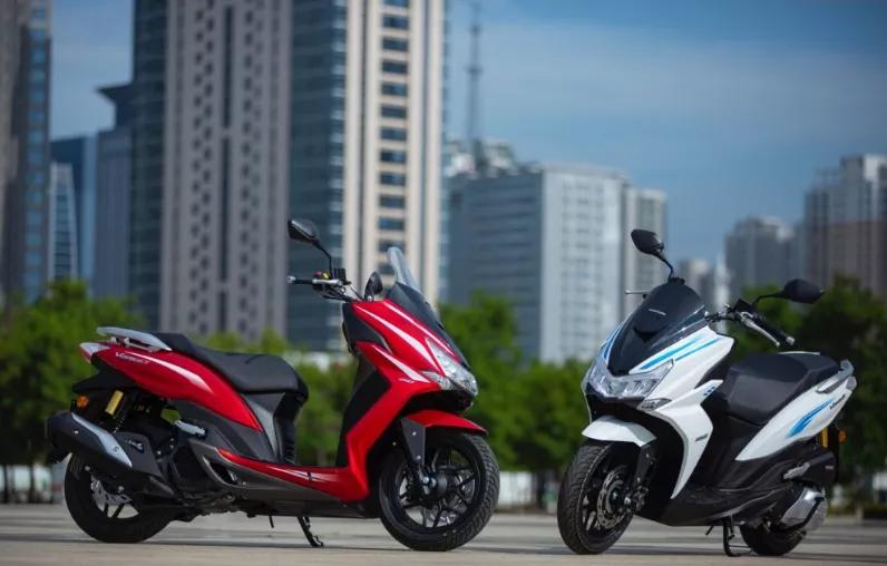 大阳深度评测,大阳解读