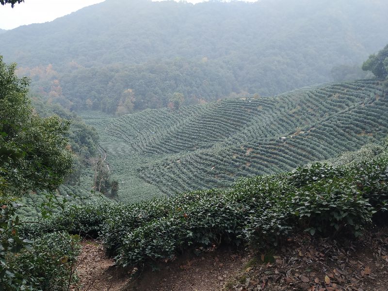 杭州市周末自驾游去哪里好玩,杭州出发周末旅游攻略