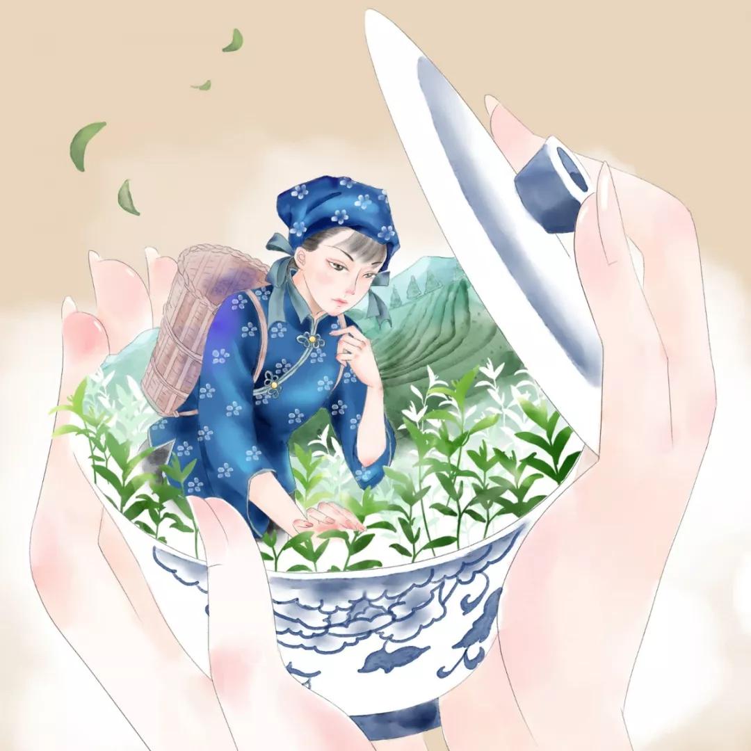 普洱茶属于无公害还是绿色食品,普洱茶安全