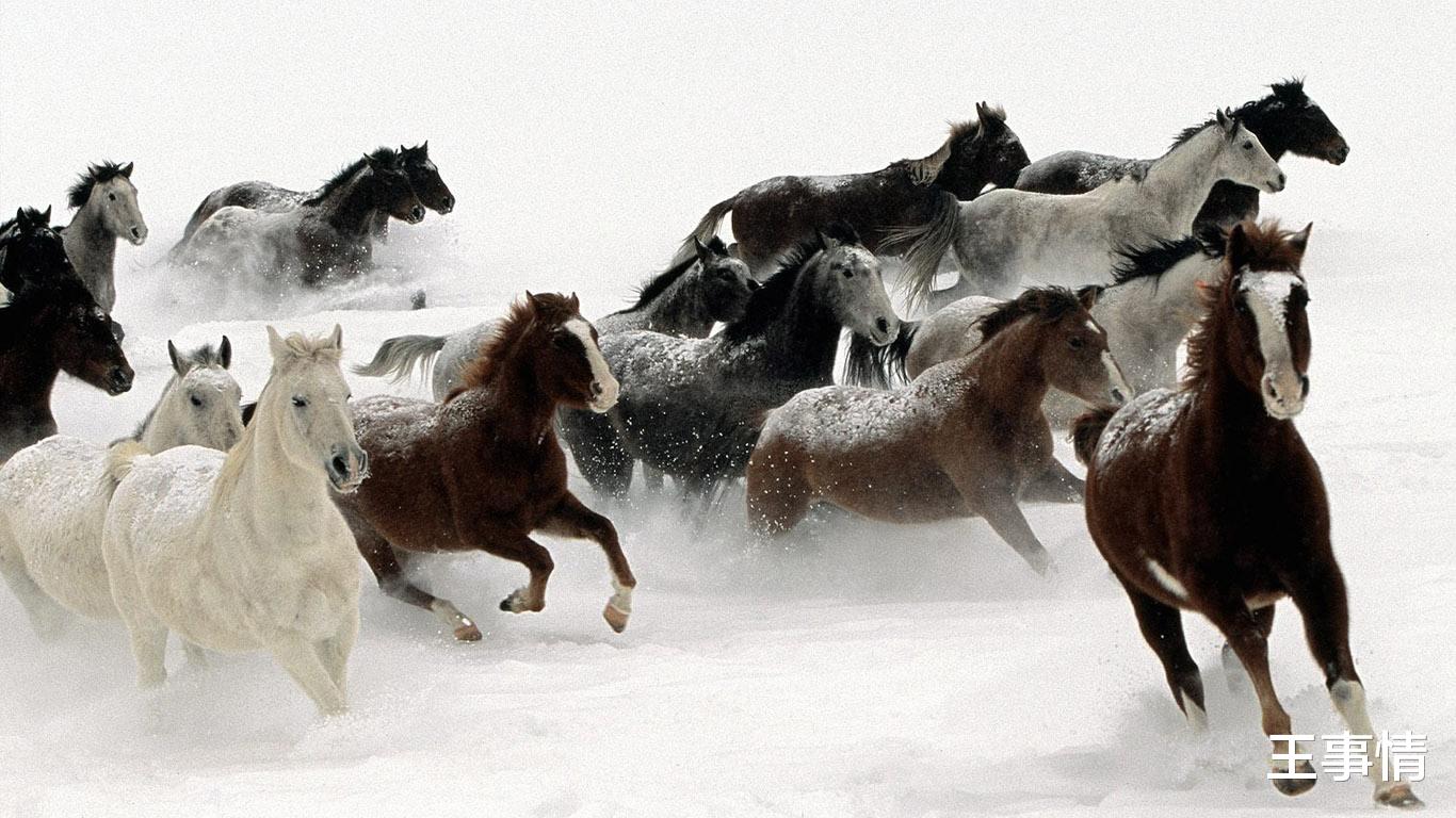 多宝塔如来,多宝如来全部视频