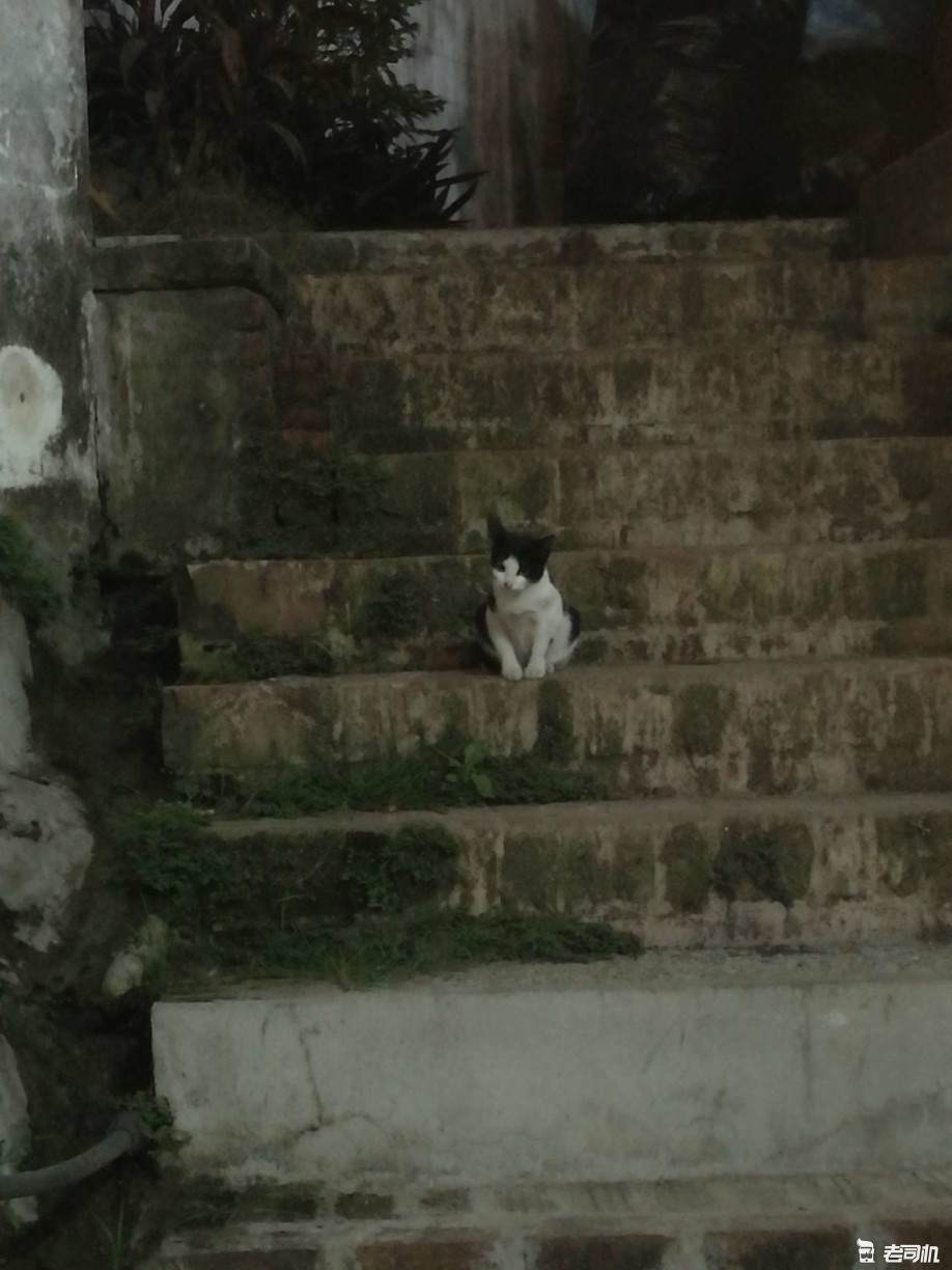 泰国老挝东南亚自驾游攻略,老挝旅游攻略西双版纳出发