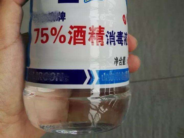 多肉表面长白霉怎么办,多肉长了小白虫最快解决办法