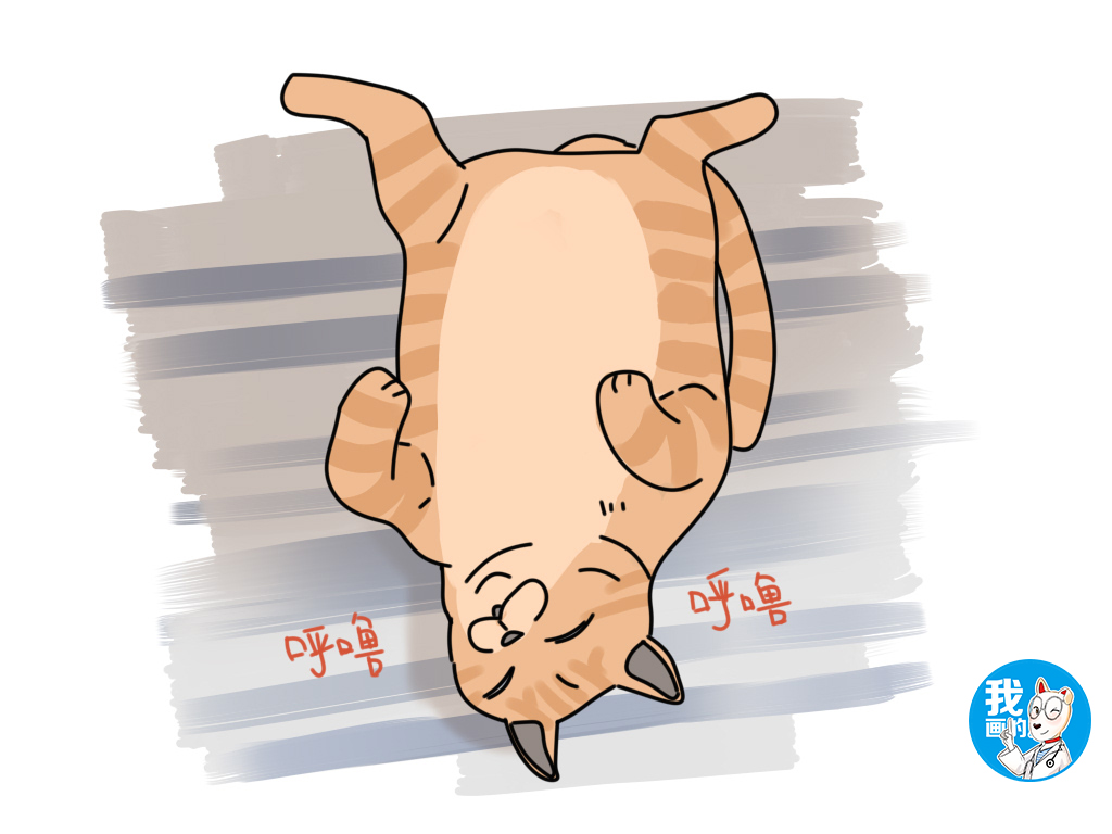 猫咪身上有黑色小虫子不是跳蚤,怎么判断猫咪身上有没有跳蚤