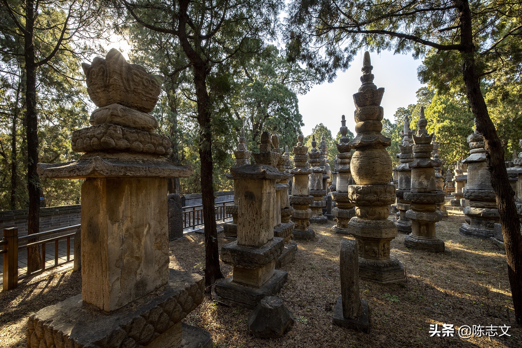 佛陀圆寂后几日火化,古代高僧圆寂视频