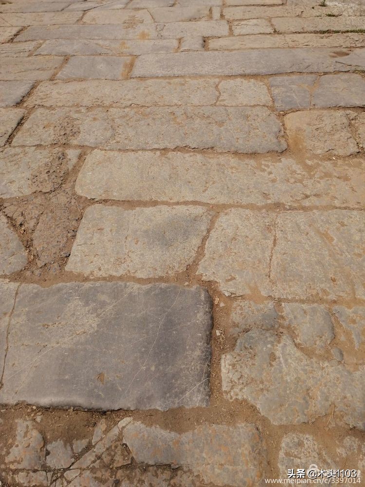 枣庄薛城邹坞镇中陈郝村,枣庄中陈郝村在哪里