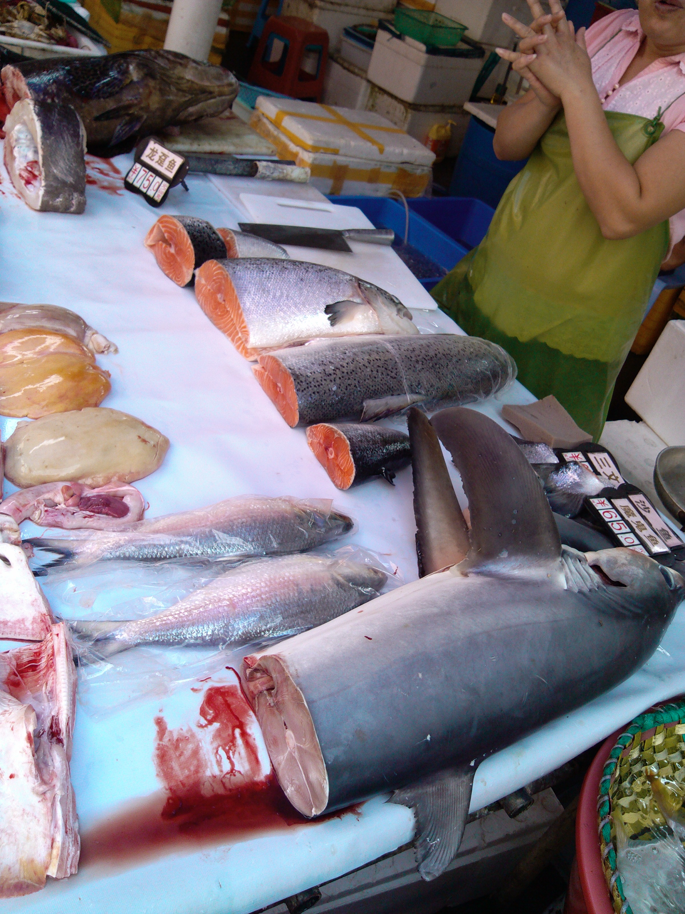 珠海石景山公园攻略,珠海澳门环岛游时间表