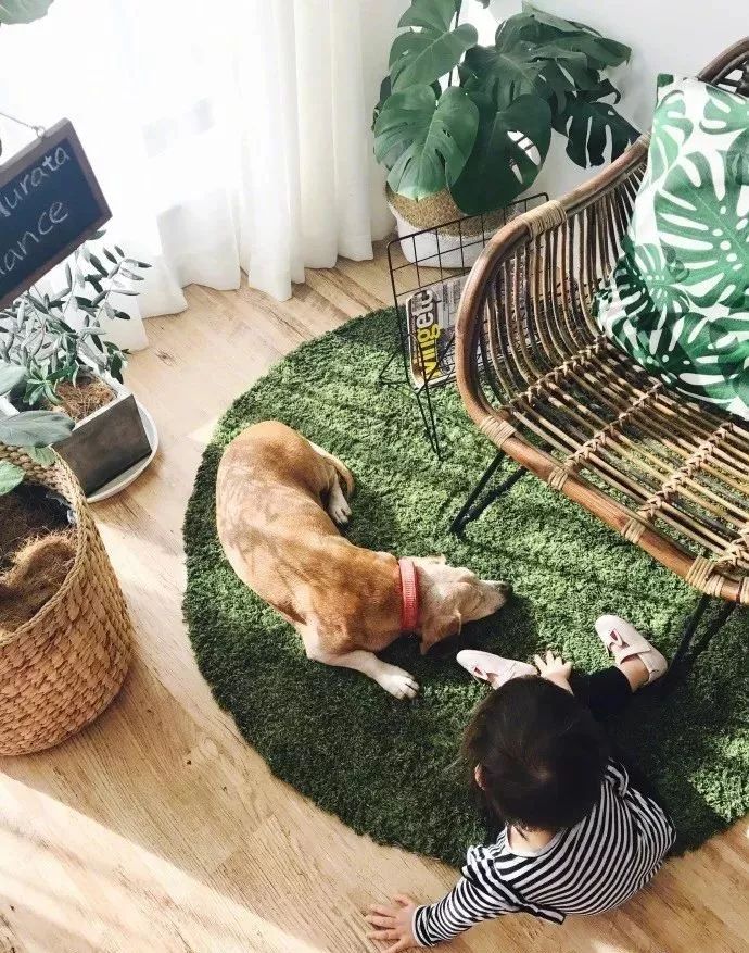 每个女明星的家都长什么样子,女明星家里都是怎么样的