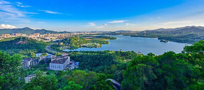 深圳十佳免费湿地公园,深圳十大免费公园排行榜最新名单