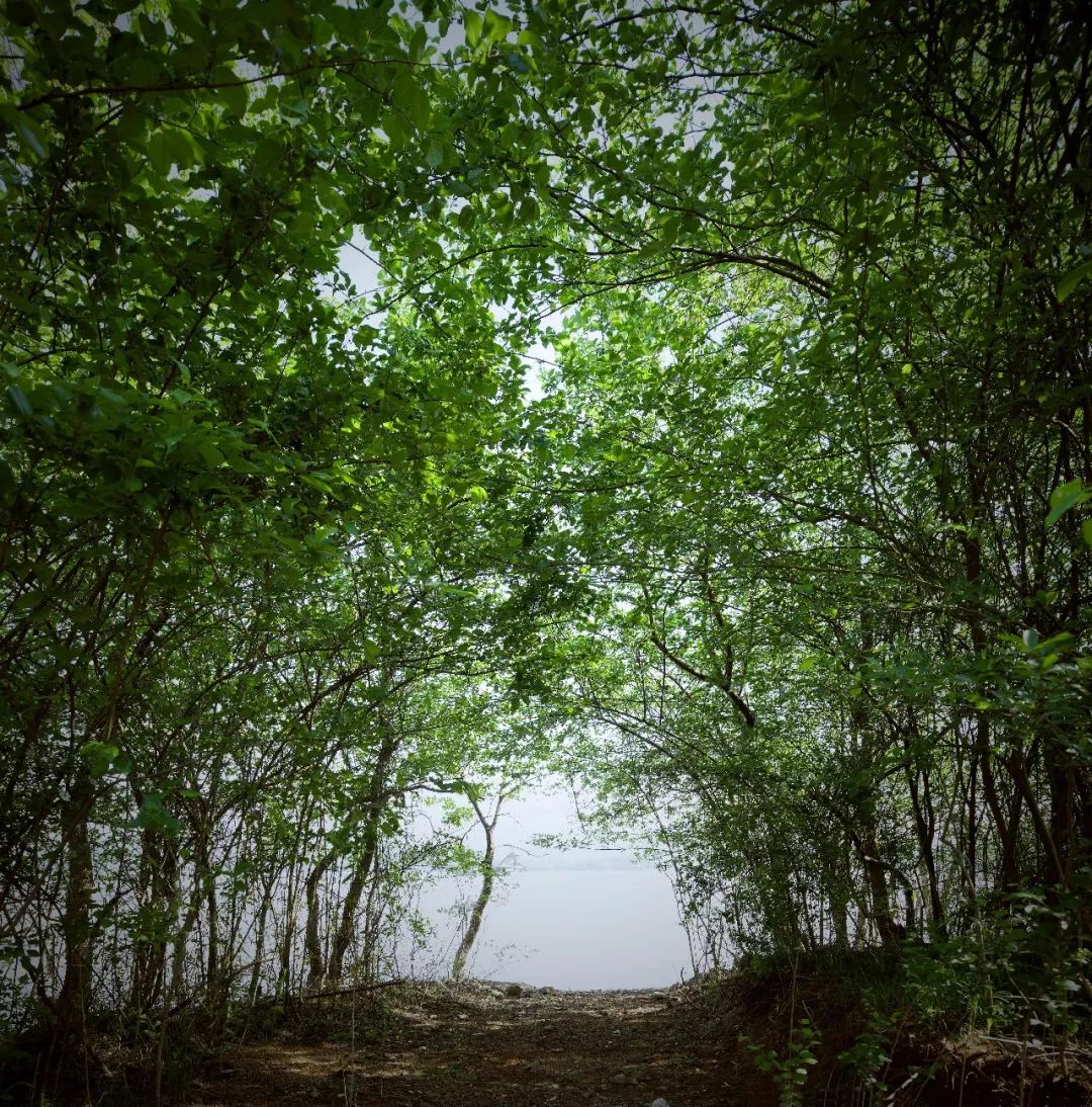 莫干山打卡圣地,莫干山王源