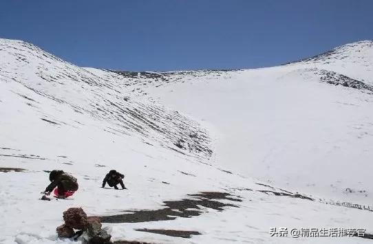 牙黄口臭一招搞定,美白牙齿最有效的方法洗牙