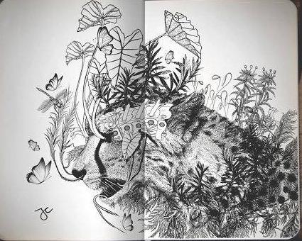 针管笔画向日葵,针管笔画100幅欣赏