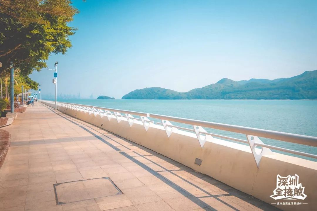 再见了，香港！深圳这条街也能免税买港货啦