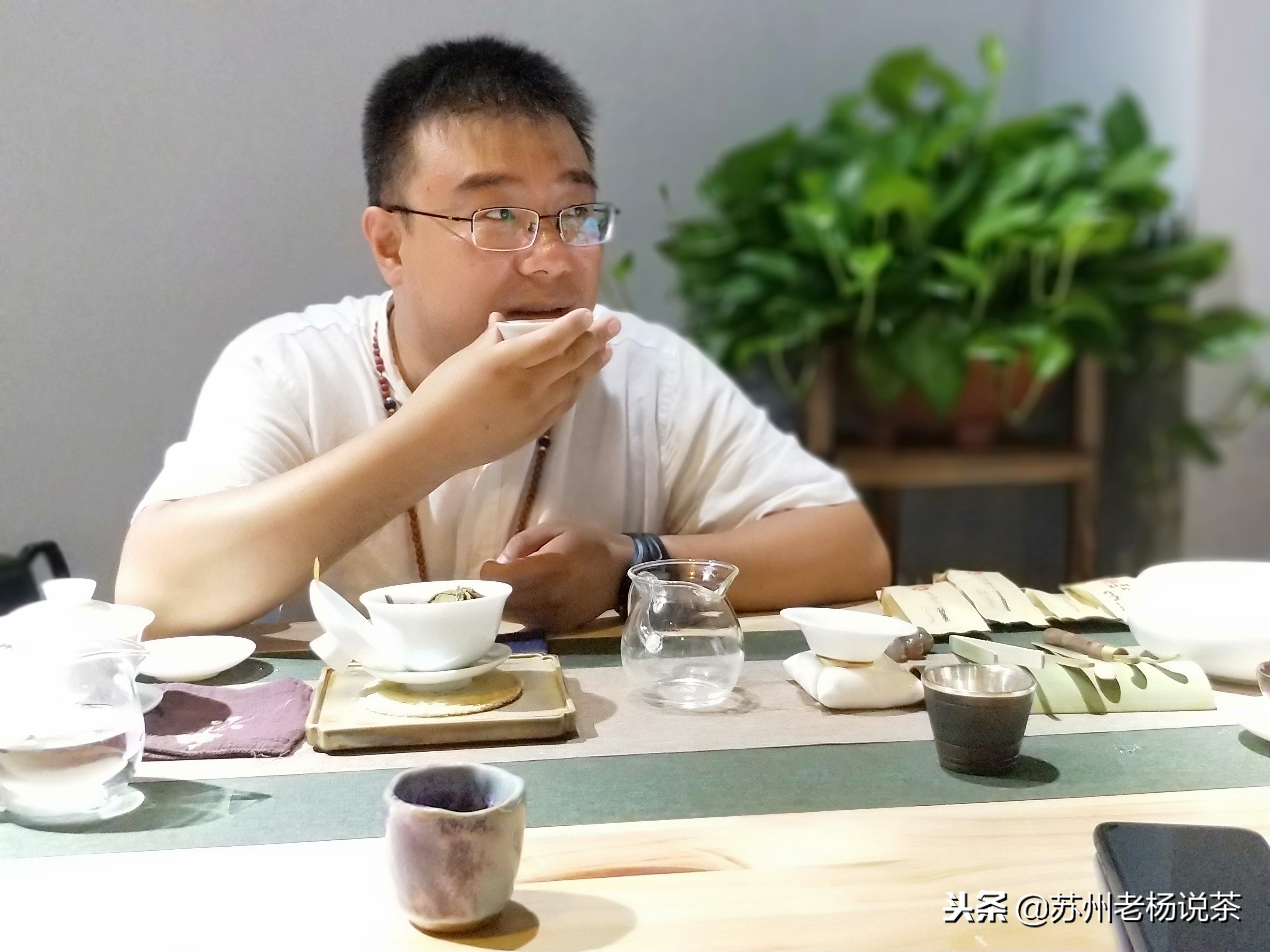 老杨说茶第159期：普洱熟茶与六堡茶辨析