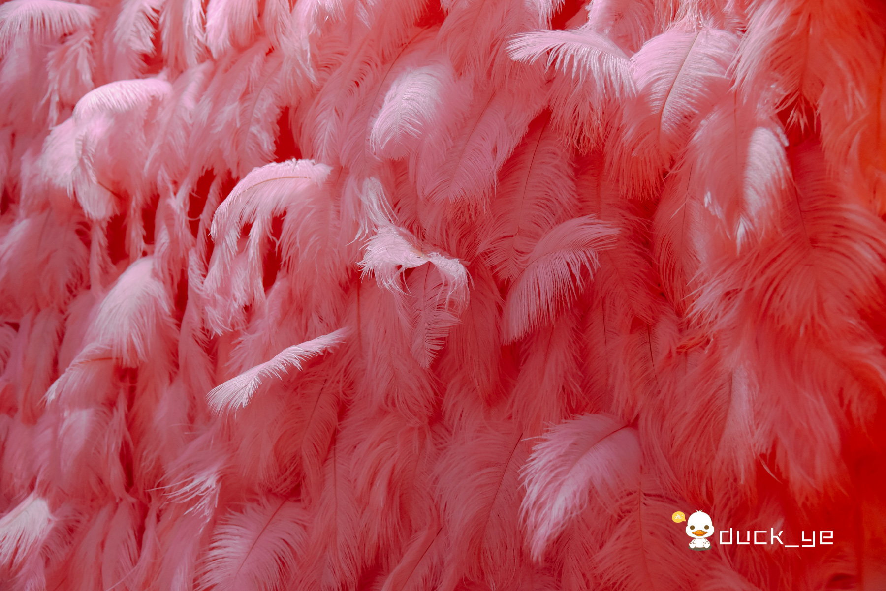 厦门最浪漫的酒吧,厦门最好的鸡尾酒酒吧