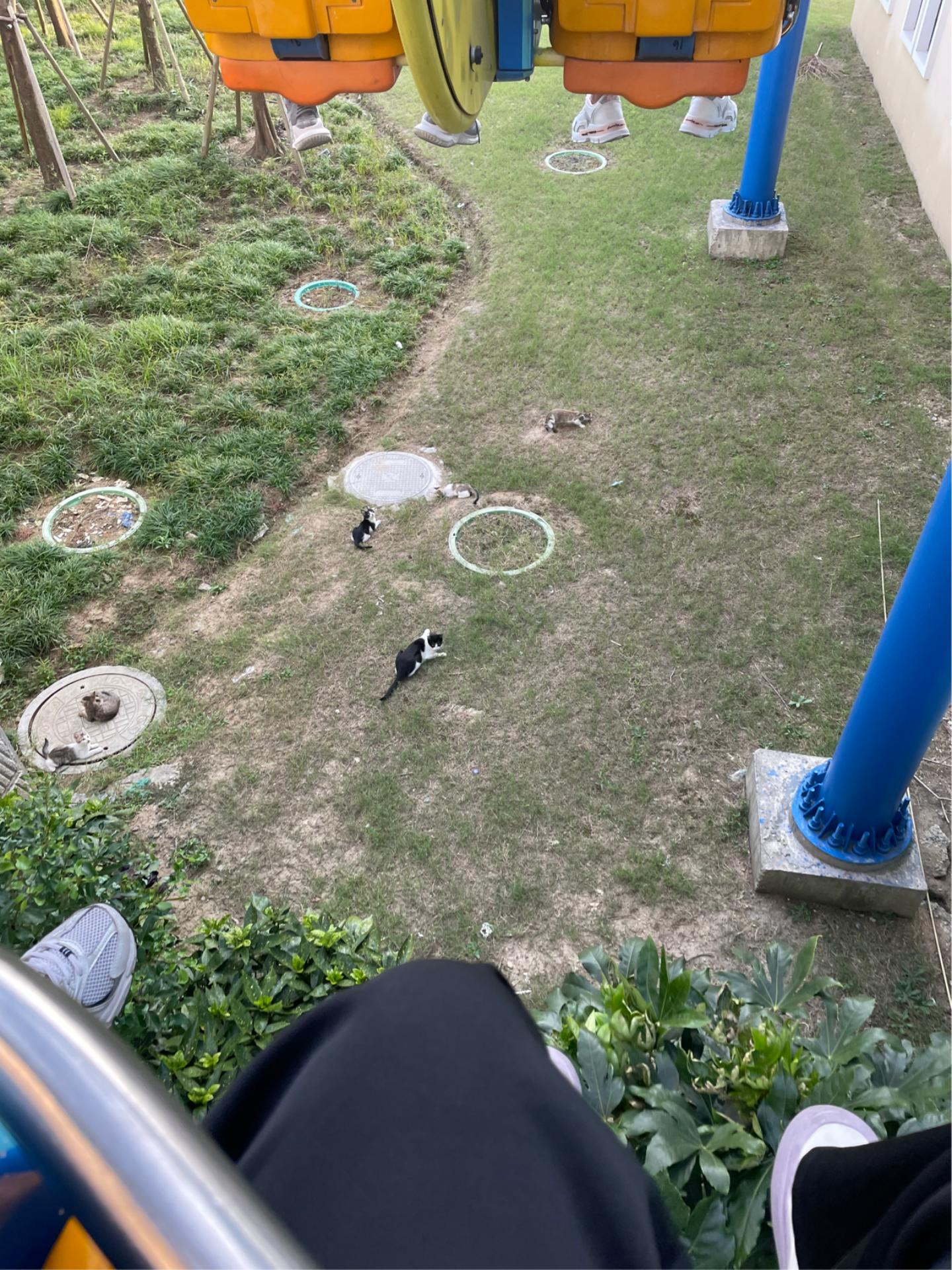 冬季苏州游乐园,苏州推荐的游乐场