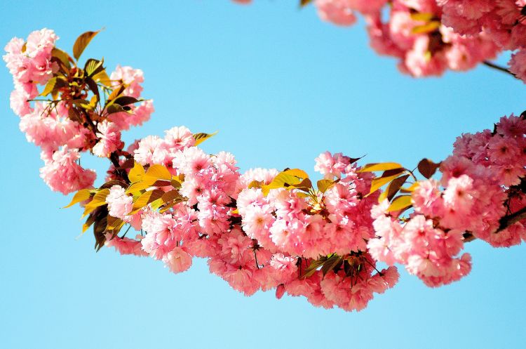 天秤座女生友情彻底失望的表现,天秤座彻底失望后就不会回头了吗