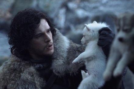 权力的游戏红袍女巫跟雪诺,冰原狼雪诺与白灵完整版