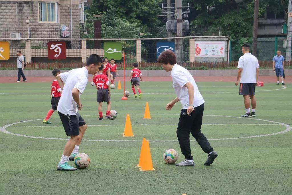 学校又多又集中，“成华五片”此前是被低估了吗？