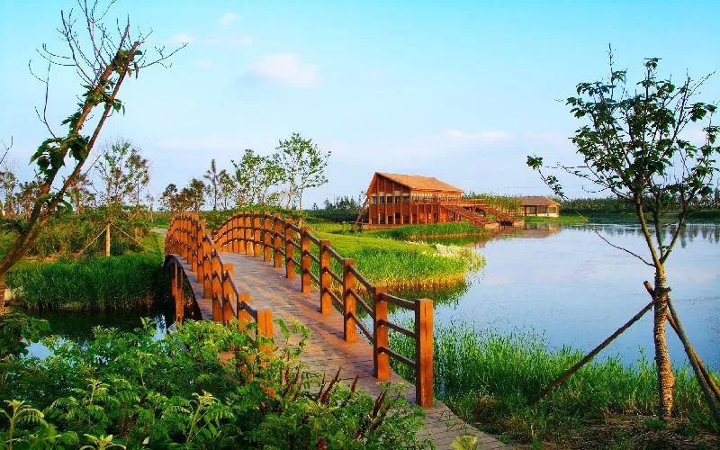 推荐上海地铁能乘到的游玩景点,上海地铁可直达的旅游景点