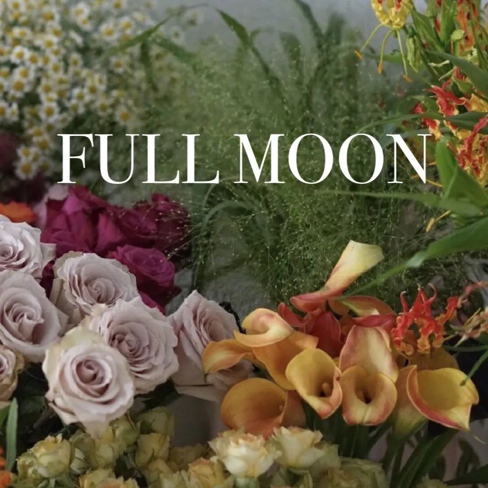 520情人节遇见你真好,520情人节与你相见