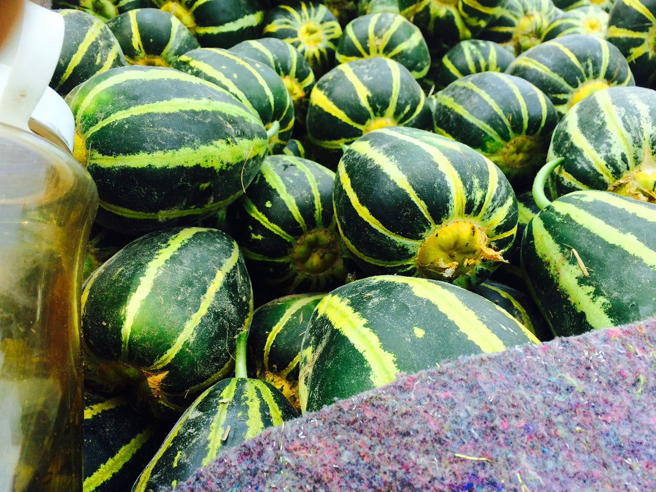 五一前后6种碱性水果别错过,两种碱性水果要常吃