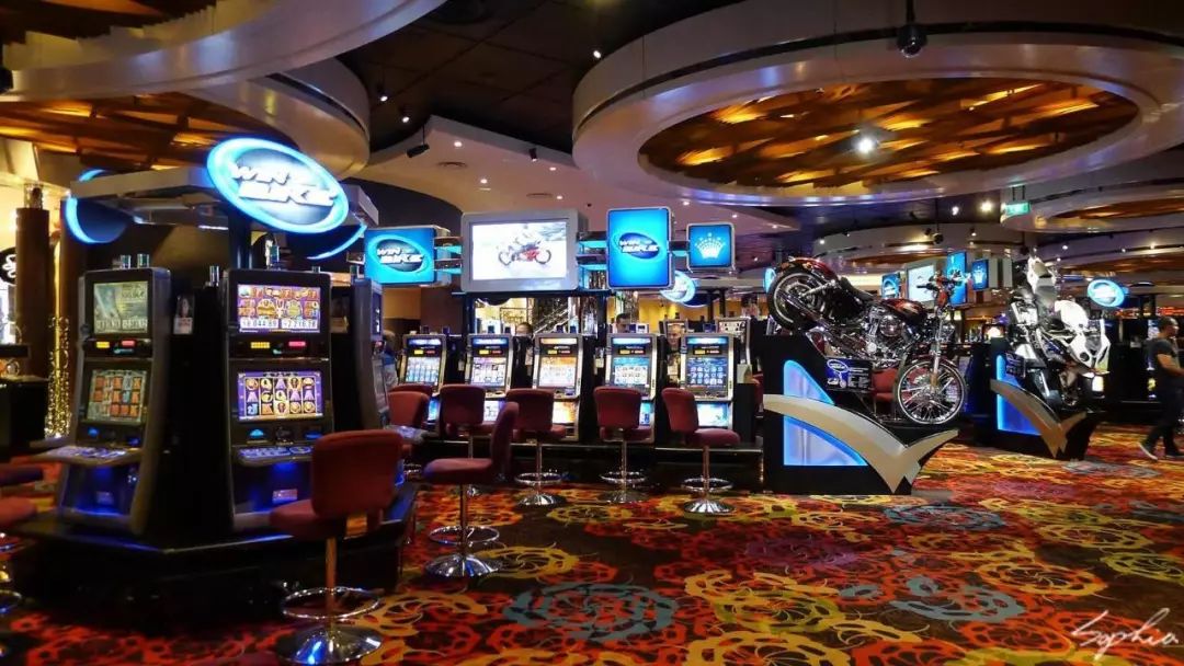 坤鹏论是什么,坤鹏论心理