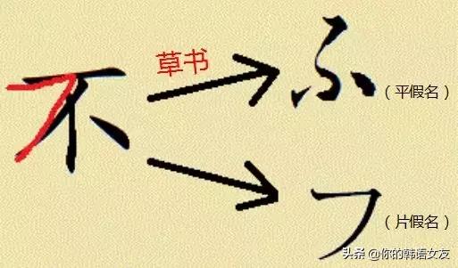 日语入门基础软件,日语入门基础50音图