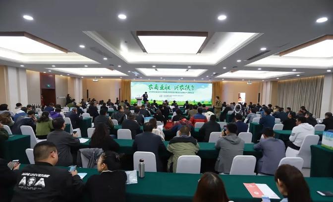 以专业孵化品质，以服务助力电商——洪海龙腾双十一重任在肩